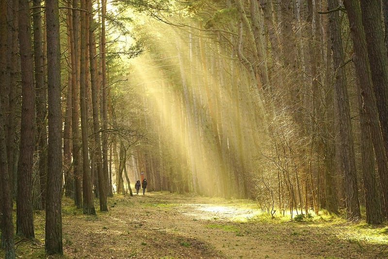 Nature Walks